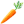 Carrot